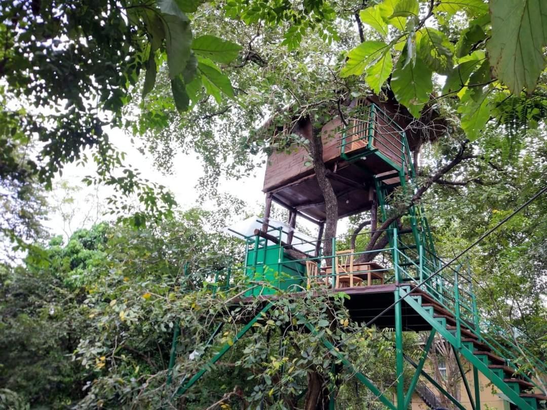 Wildescape Polonnaruwa Villa Ngoại thất bức ảnh