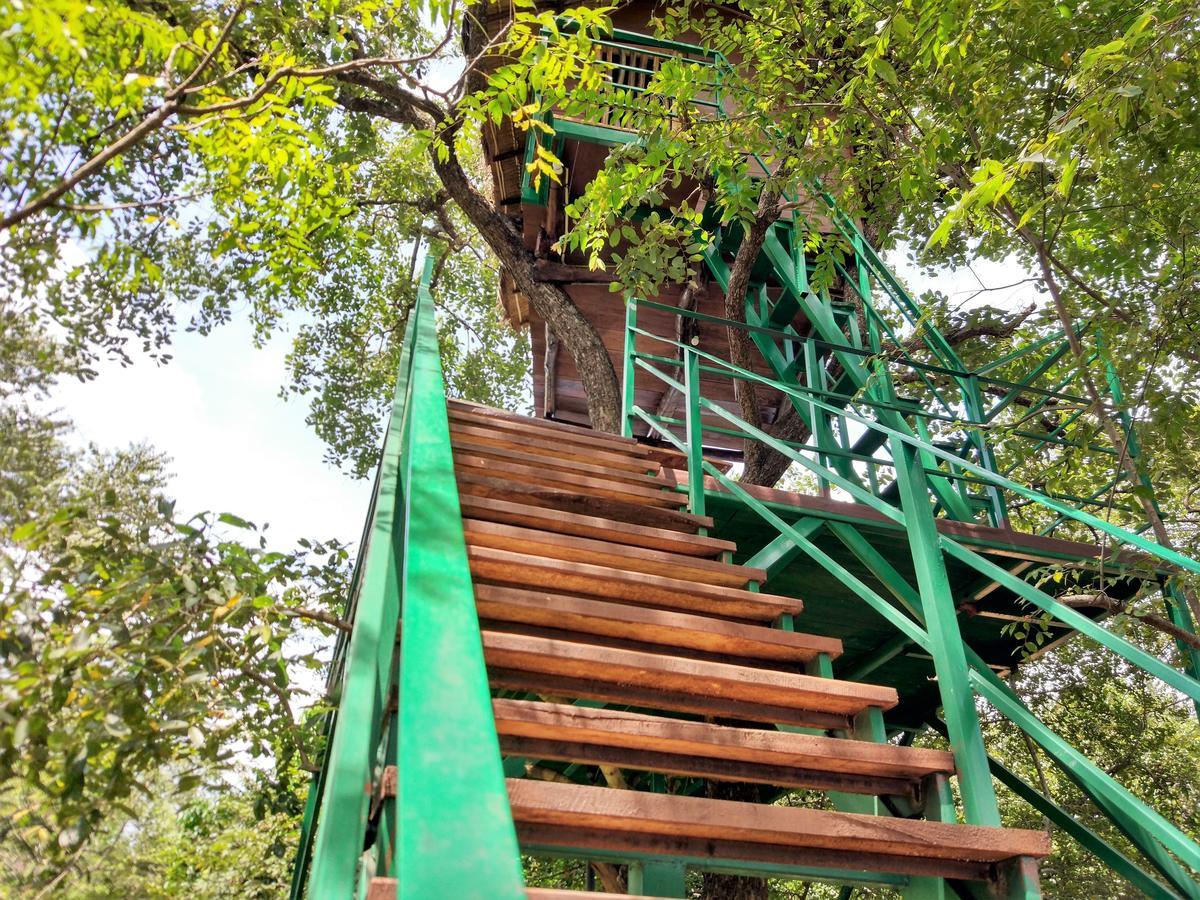 Wildescape Polonnaruwa Villa Ngoại thất bức ảnh