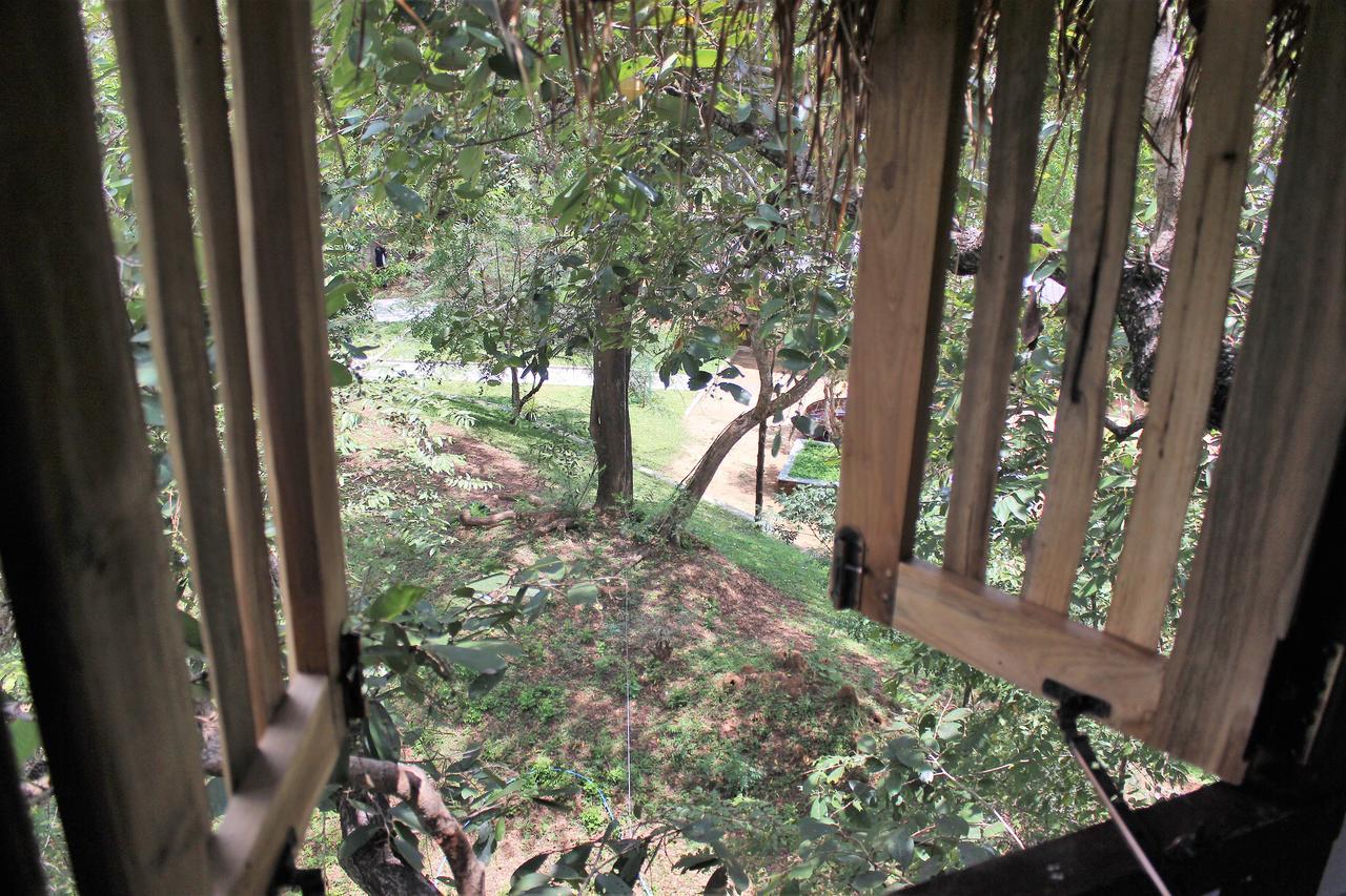 Wildescape Polonnaruwa Villa Ngoại thất bức ảnh